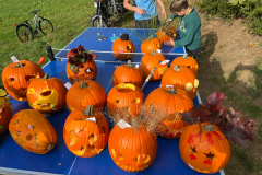 IMG-20241027-WA0022