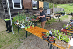 k-P_20260510_105452