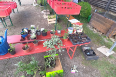 k-P_20240526_160819